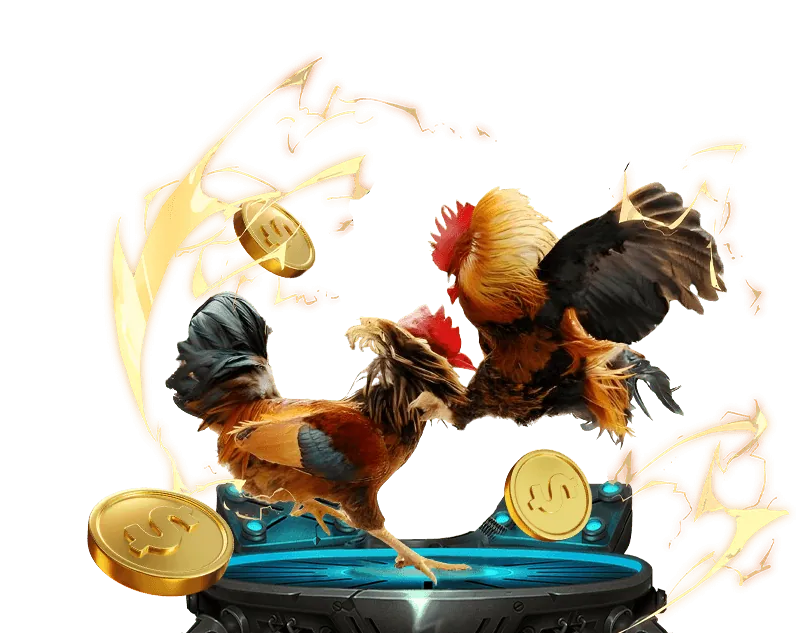 Giao diện đặt cược trực tuyến đá gà CPC1